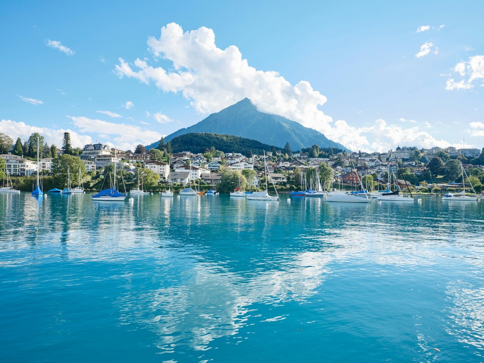a body of water with boats and buildings in the background